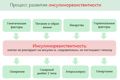 Процесс развития инсулинорезистентности
