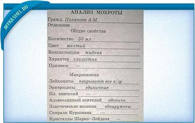 большое количество мокроты