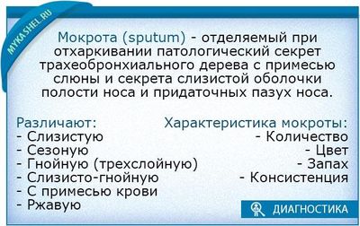 что такое мокрота и как сдать все анализы правильно