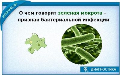 о чем говорит зеленая мокрота-и-показатели-нормы