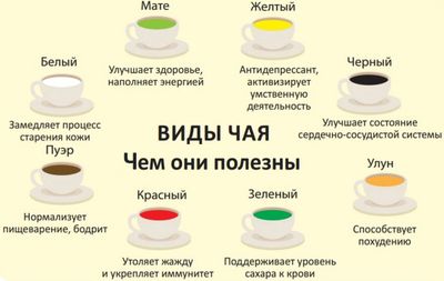 виды и польза чая