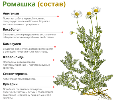 состав ромашки