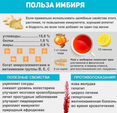 польза имбиря