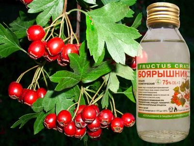 Настойка плодов боярышника