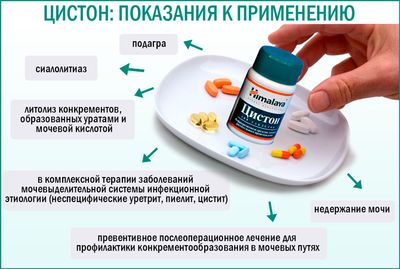 Показания к применению препарата «Цистон»