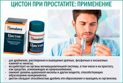 Применение цистона при простатите