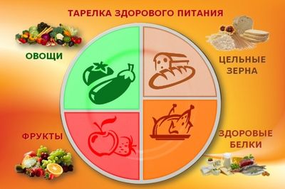 тарелка здорового питания