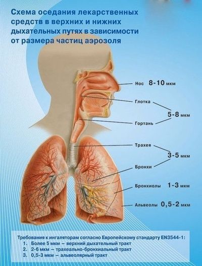 схема оседания частиц