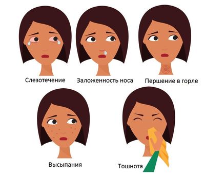 симптомы аллергии рисунок