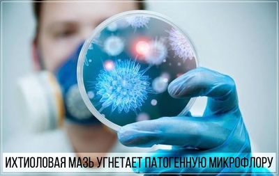 Ихтиол угнетает патогенную микрофлору