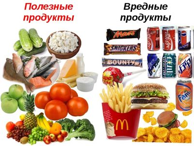 полезные и вредные продукты