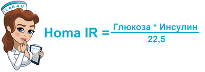 как расчитать индекс инсулинорезистентности
