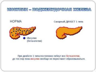 Патология эндокринной системы и ее лечение