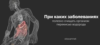 Организм человека