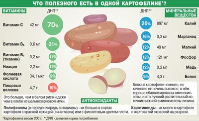 Что полезного есть в 1 картофелине