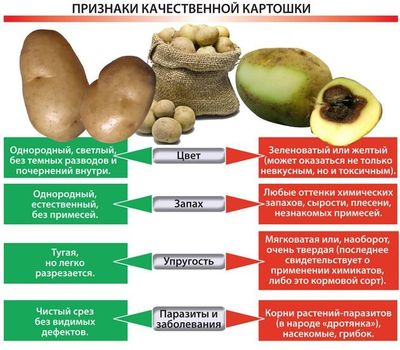 как выбрать картофель