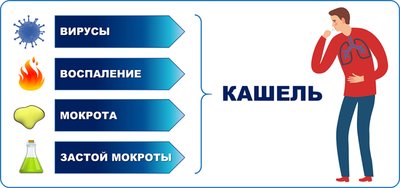 кашель схема