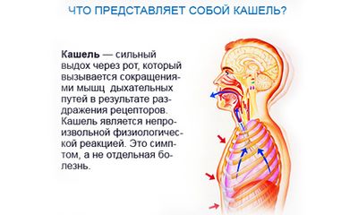 кашель что это