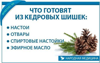Что готовят из кедровых шишек
