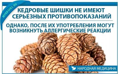 Противопоказания кедровых шишек