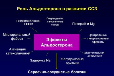альдостерон