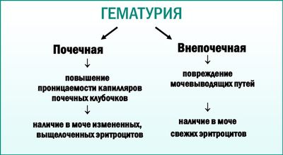 Гематурия: виды