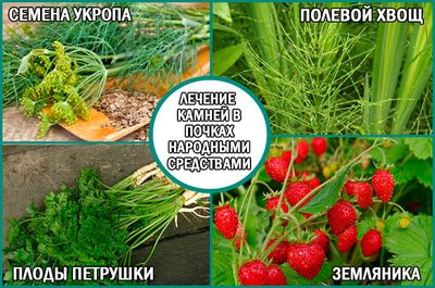 Камни в почках: лечение народными средствами