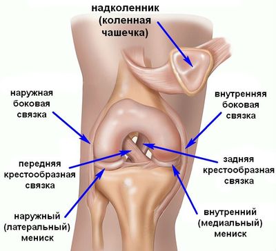 Лигаментит коленного сустава