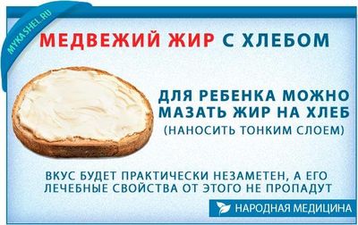 медвежий жир от кашля для детей