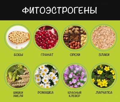 фитоэстрогены