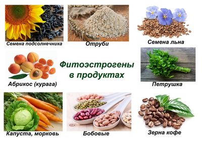 Продукты с содержанием фитоэстрогена