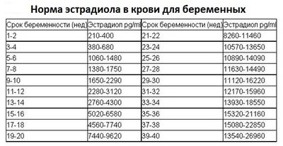эстрадиол при беременности