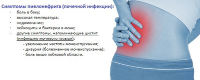 симптомы пиелонефрита