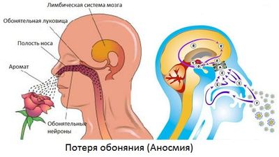 потеря обоняния