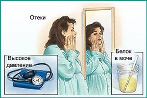 Чем опасно повышение белка в моче