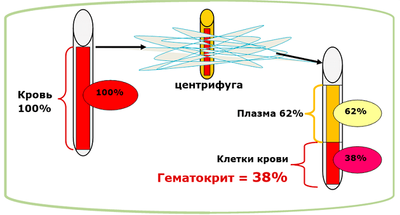 цинтрифуга