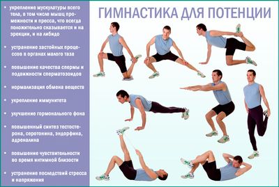 Упражнения для повышения потенции