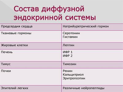 Состав диффузной эндокринной системы