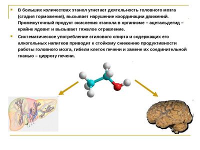 Воздействие этанола на организм