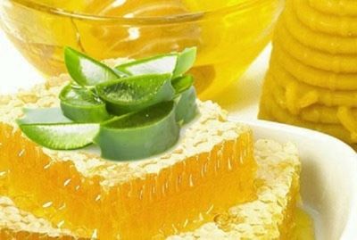 Рецепты алоэ с медом для желудка, их показания
