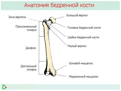 Подробная схема