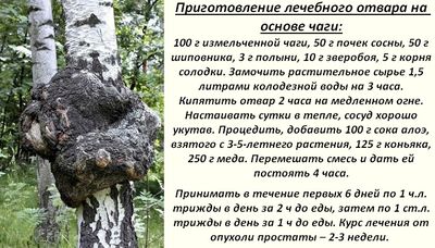 Лечим рак