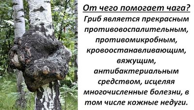 Польза от паразита