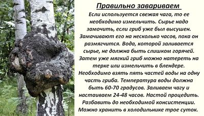 Правильно варим