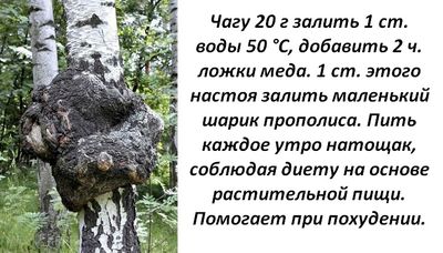 Целебные напитки
