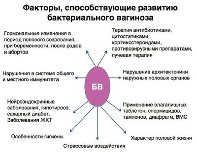 факторы риска бактериального вагиноза