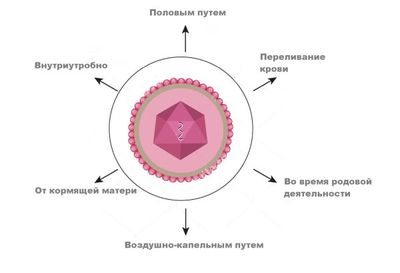 пути инфицирования ЦМВ у детей