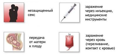 пути передачи ЦМВ
