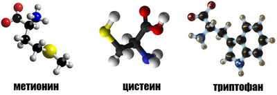 Метионин, цистеин, триптофан