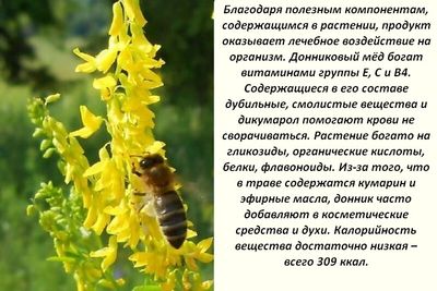 Состав полезного меда